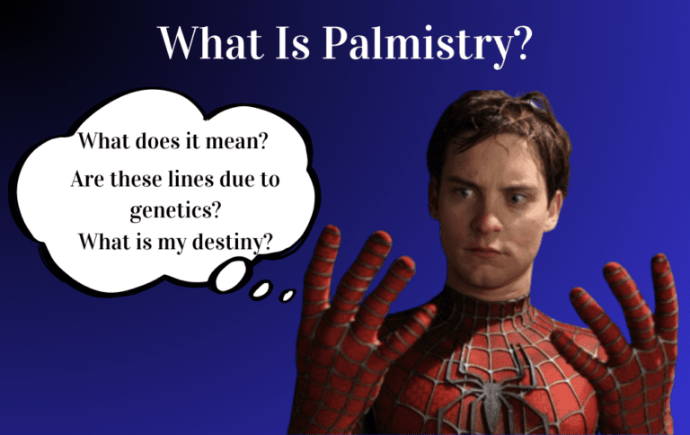 Palmistry Palm reading Hastrekha Palm line PALM LINE Prithvi Jyotisha