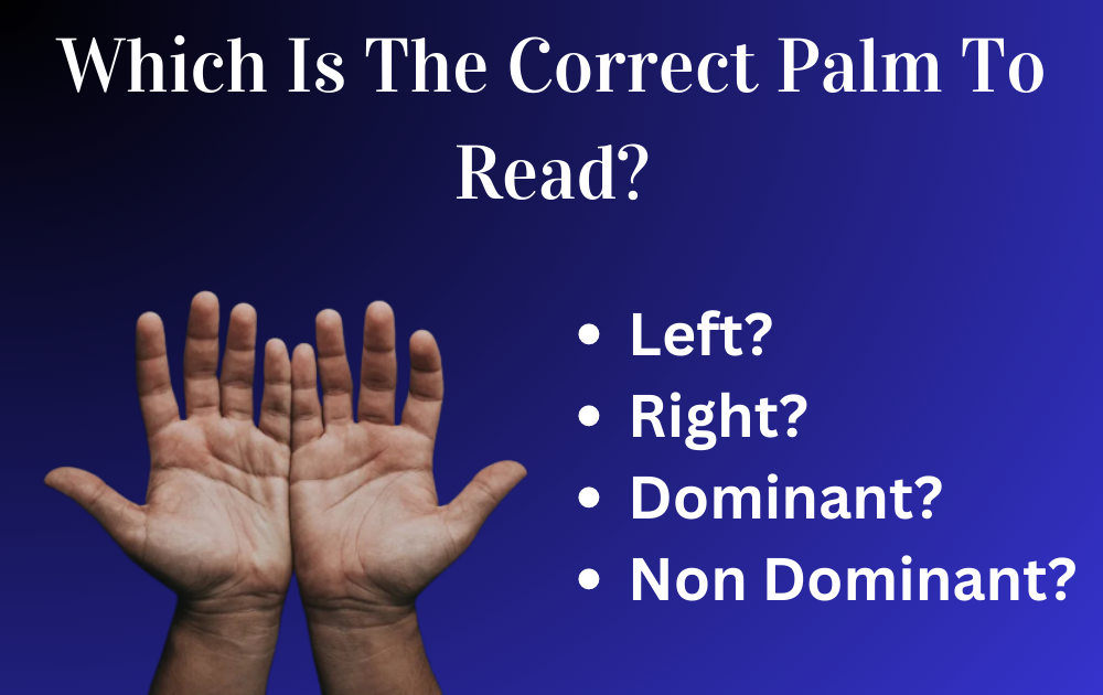 Palmistry Palm reading Hastrekha which is the correct palm to read the correct palm to read Prithvi Jyotisha